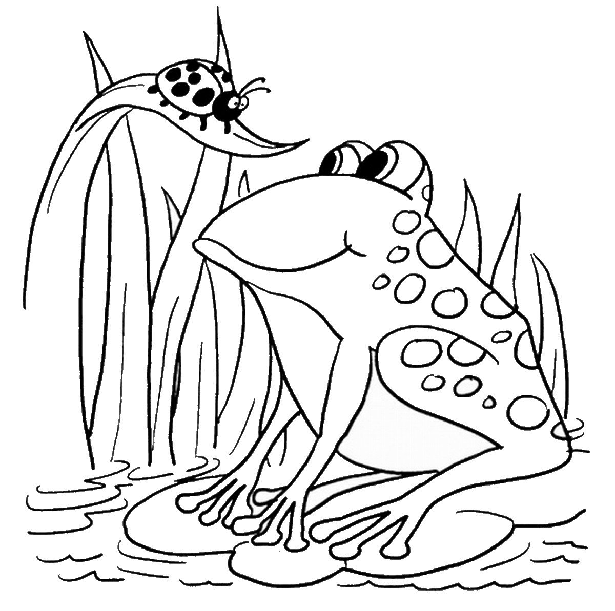 Free Printable Frog Coloring Pages Printable World Holiday