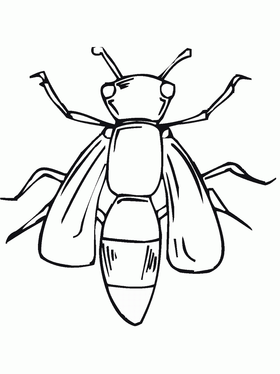 insects-coloring-pages