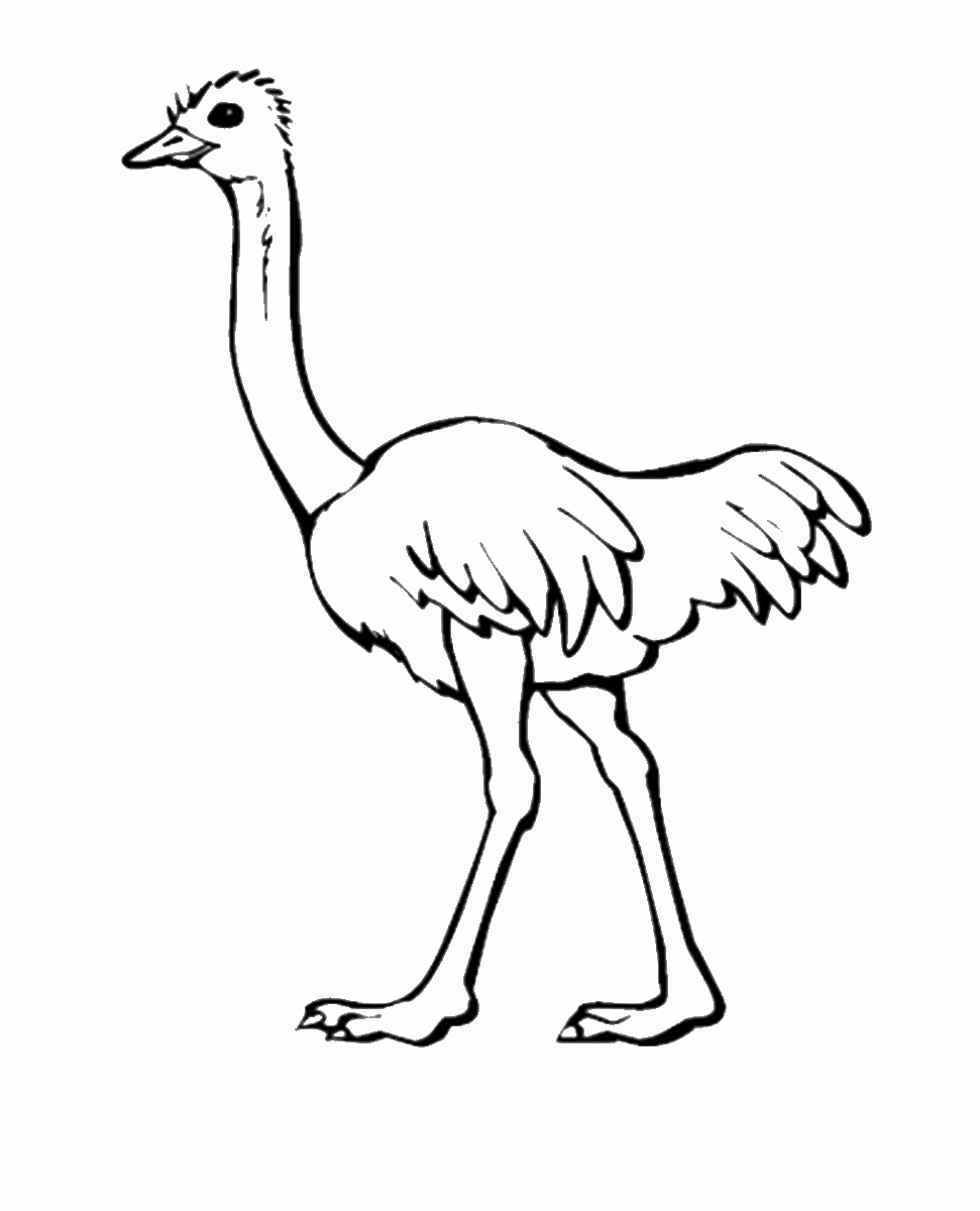 ostrich-coloring-pages