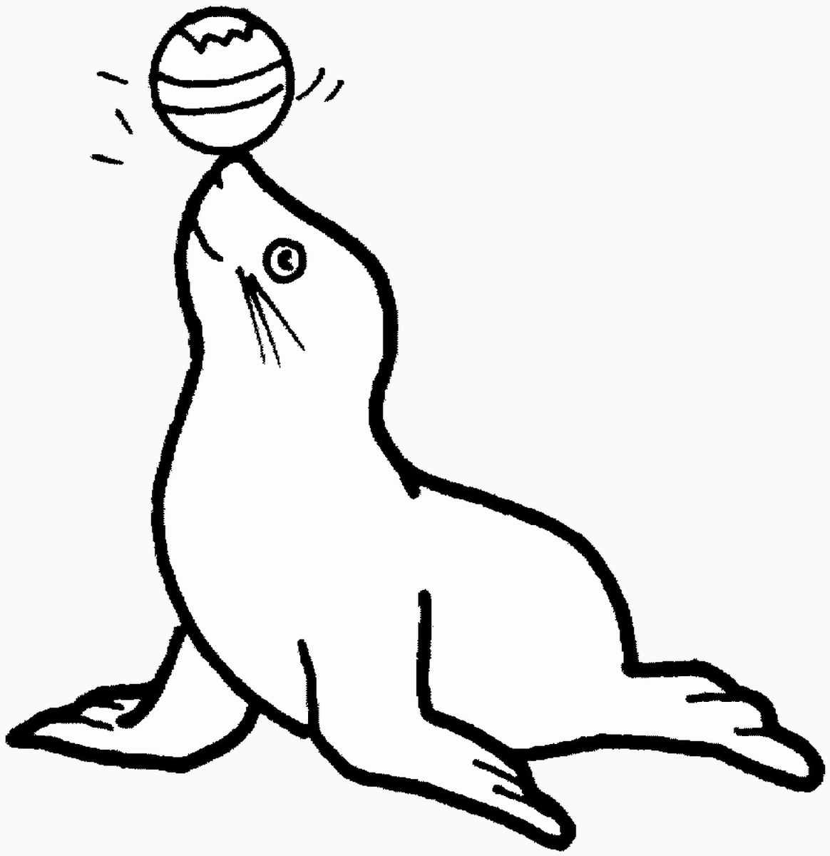 seal coloring seal coloring pages