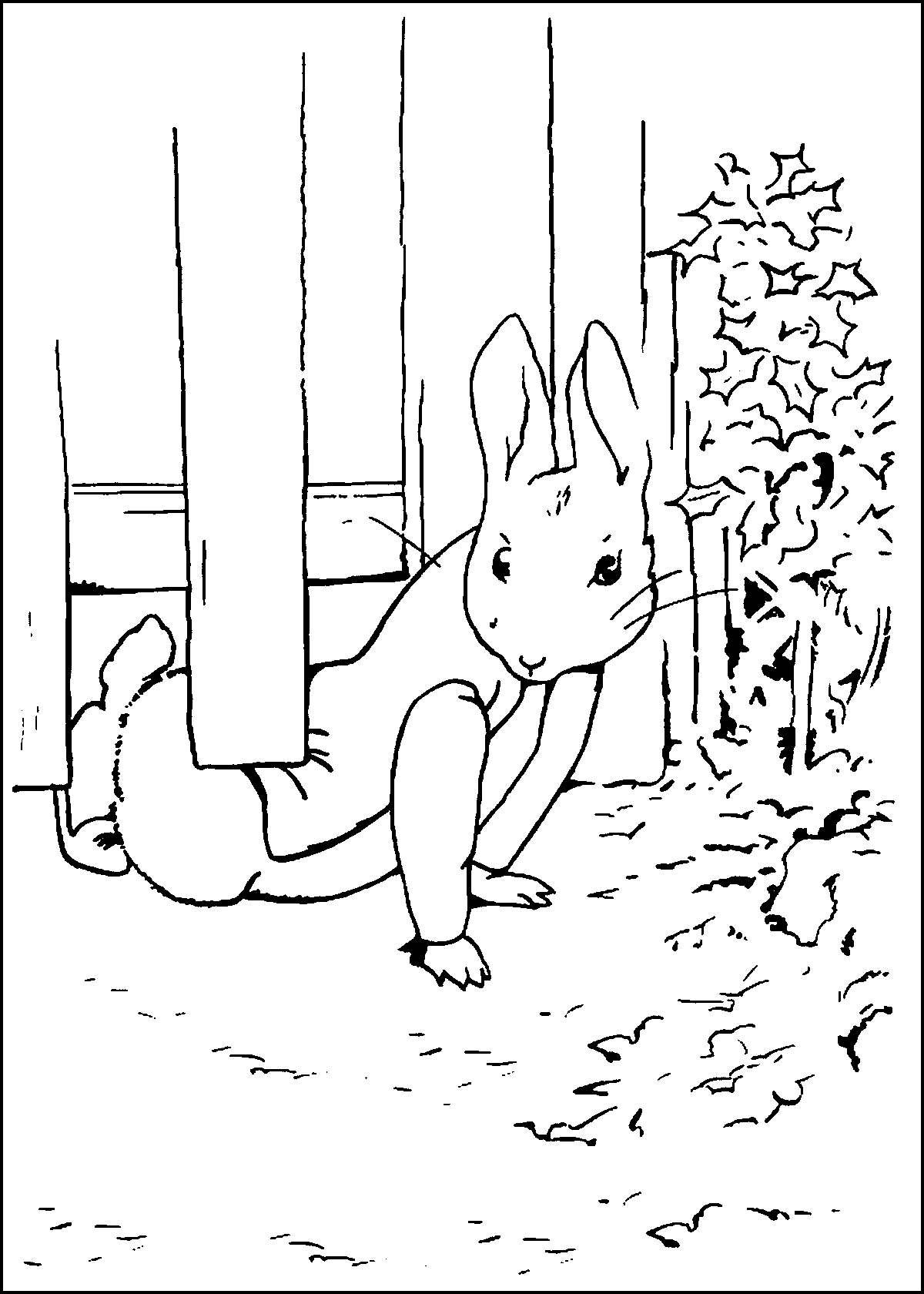 Peter Rabbit Printable Printable Word Searches