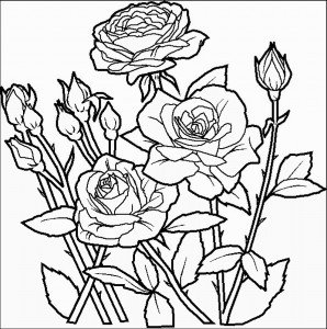 Flowers Coloring Pages