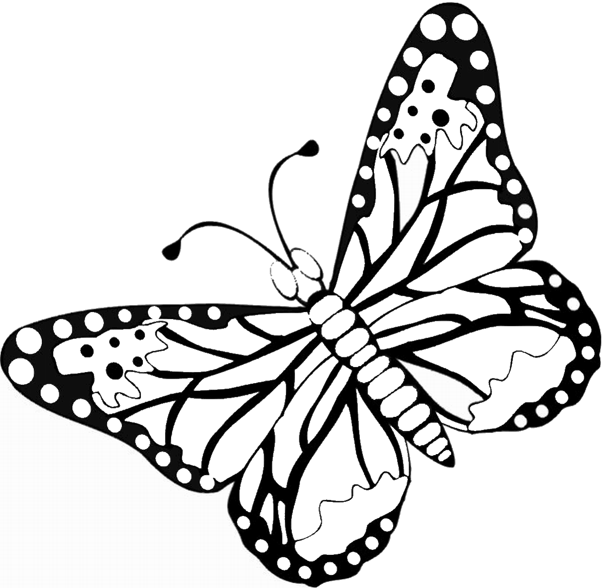 Butterfly Coloring Pages Coloring Pages