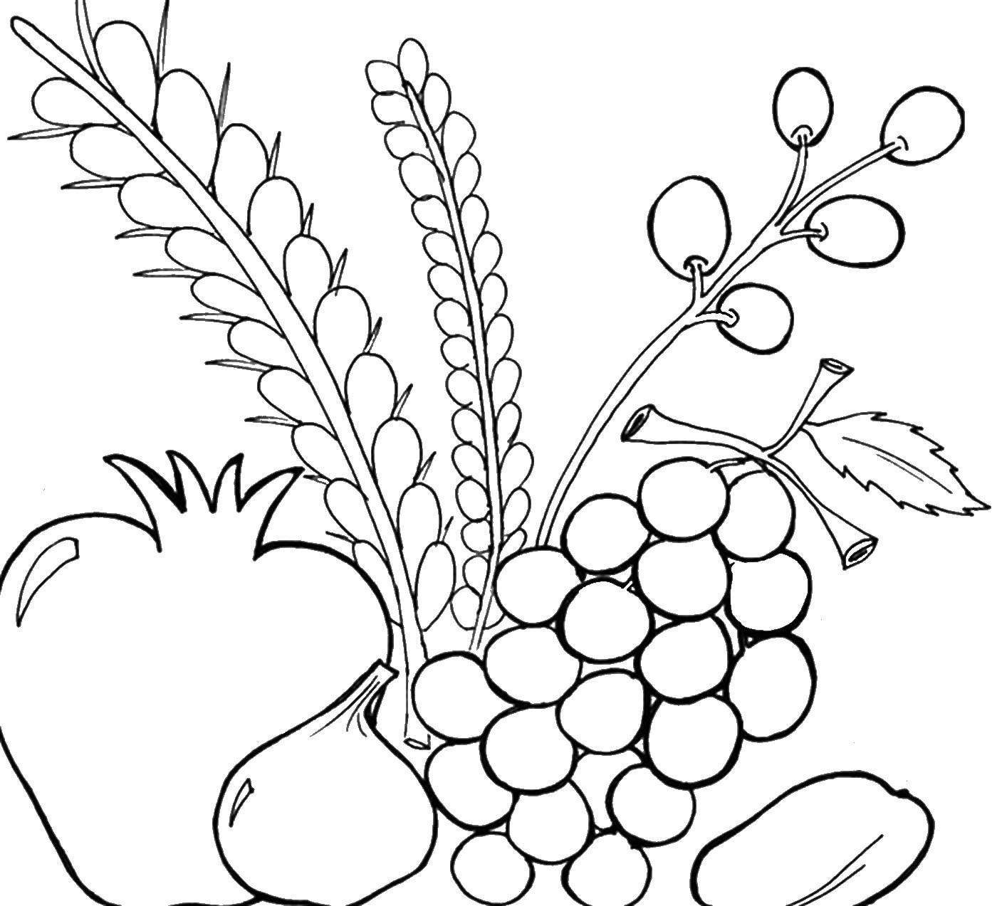 Sukkot Coloring Pages For Kids