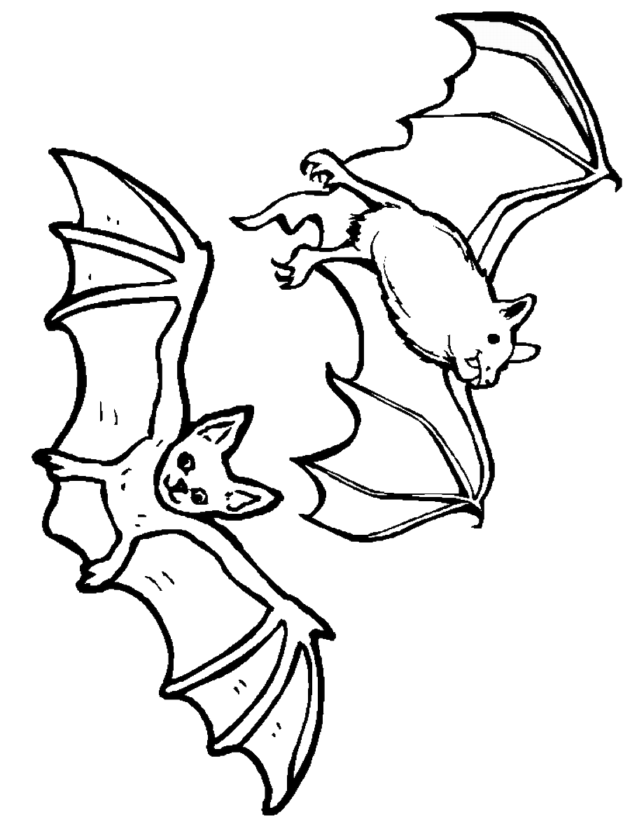Download Bat Coloring Pages