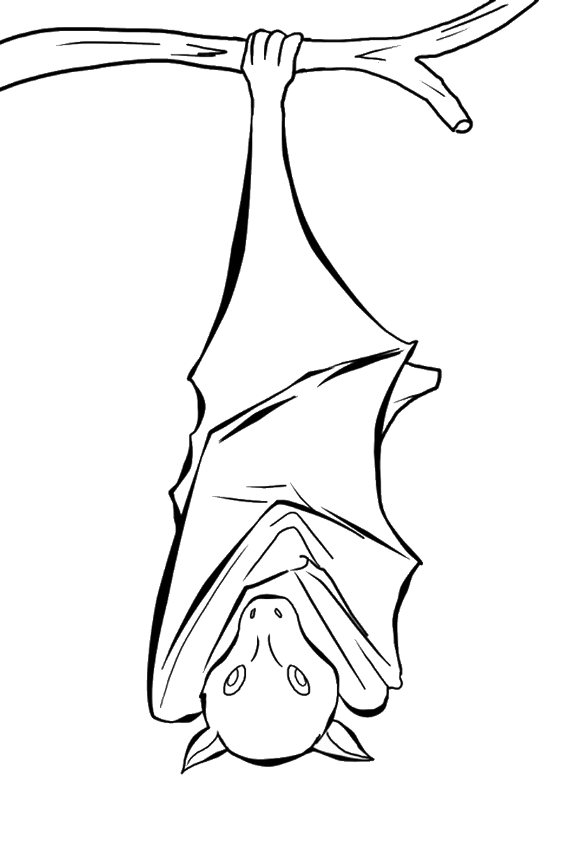 Bat Coloring Pages