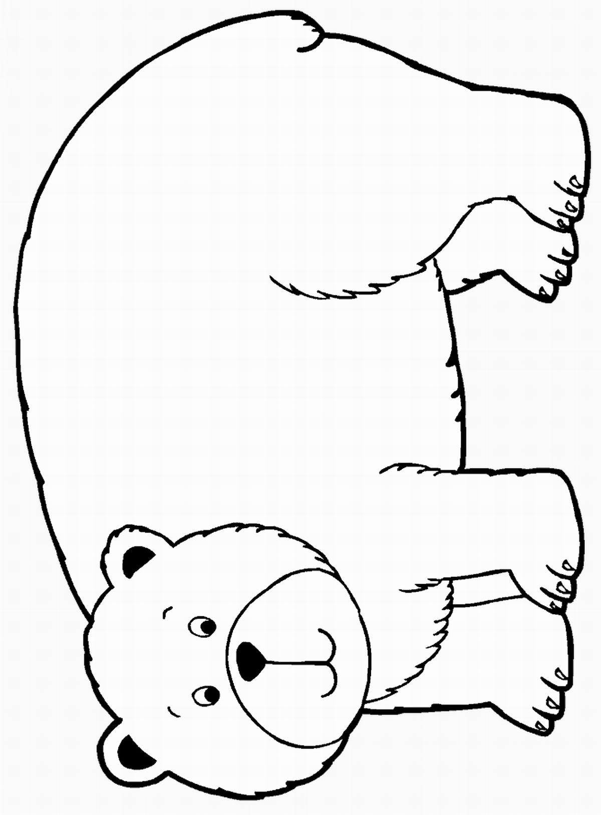 Раскраска медведь для детей 2 3 лет. Раскраска. Медвежонок. Медведь раскраска. Медведь для раскрашивания детям. Раскраска "мишки".
