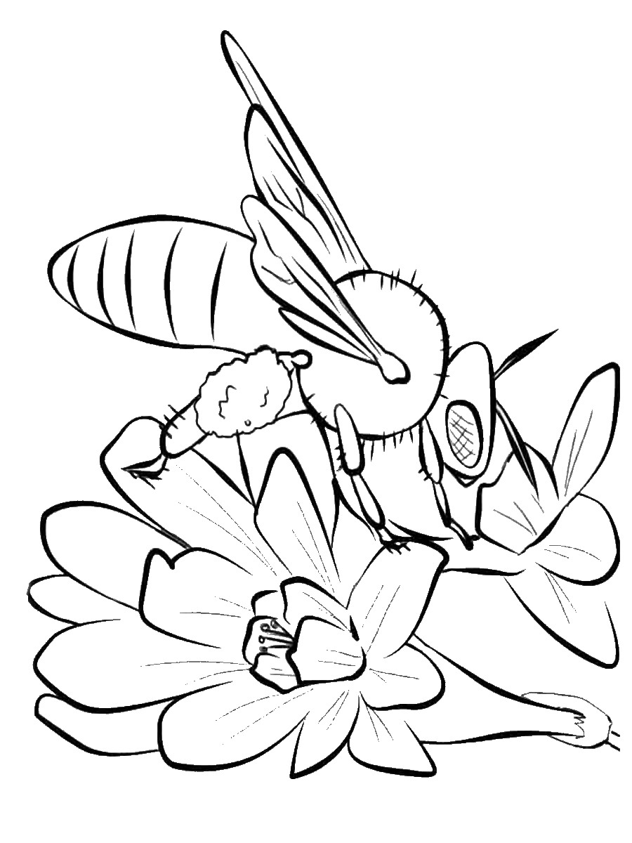 Нектар рисунок. Пчела раскраска для детей. Раскраска Пчелка на цветке. Шершень раскраска. Раскраска пчела на цветке.