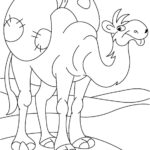 Camel coloring Pages