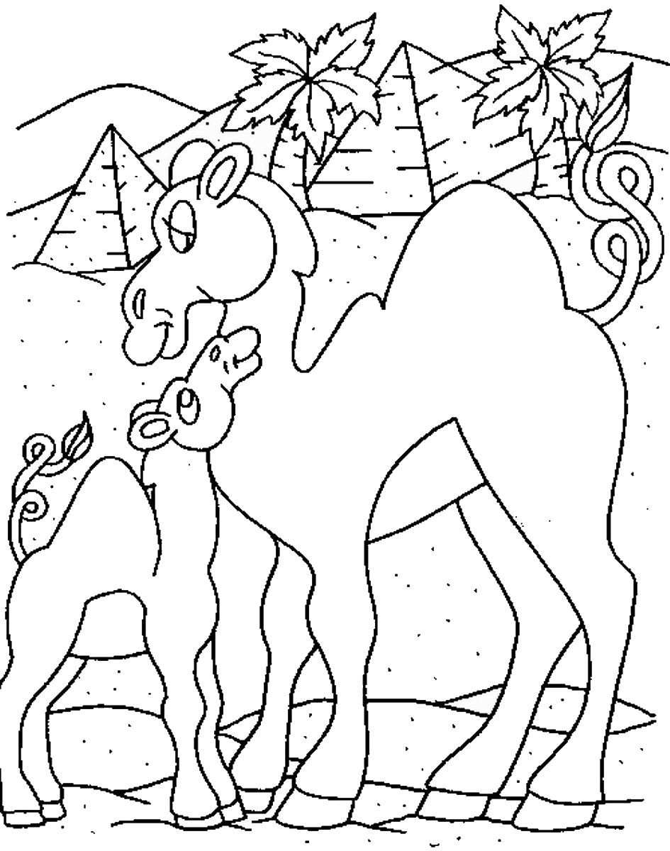 Download 301+ Two Camel In The Desert Coloring Pages PNG ...