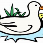 Duck Coloring Pages