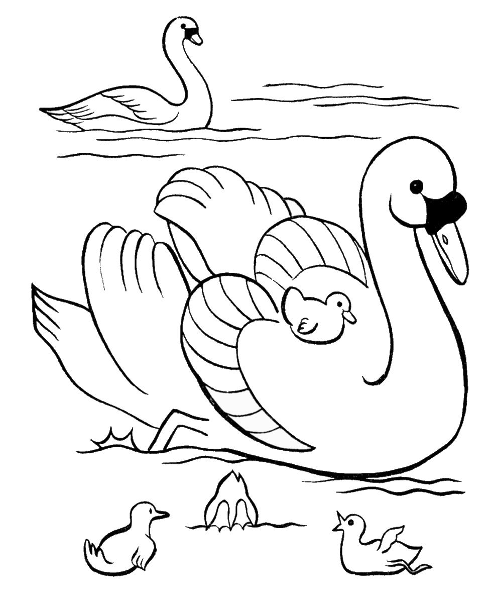 Download Duck Coloring Pages