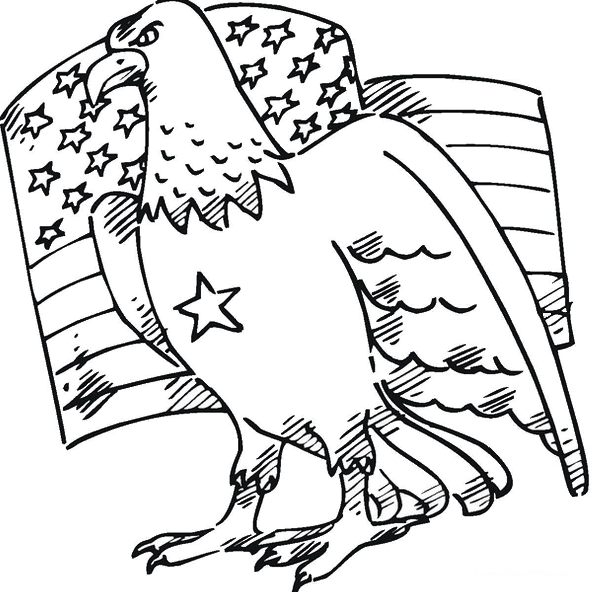 Белоголовый Орлан символ США раскраска для детей