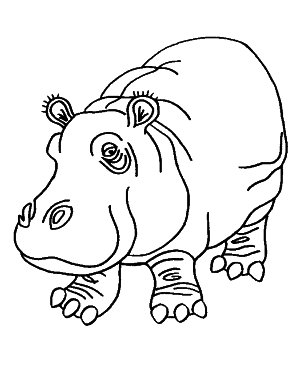 Free Printable Hippo Coloring Pages - Printable Templates