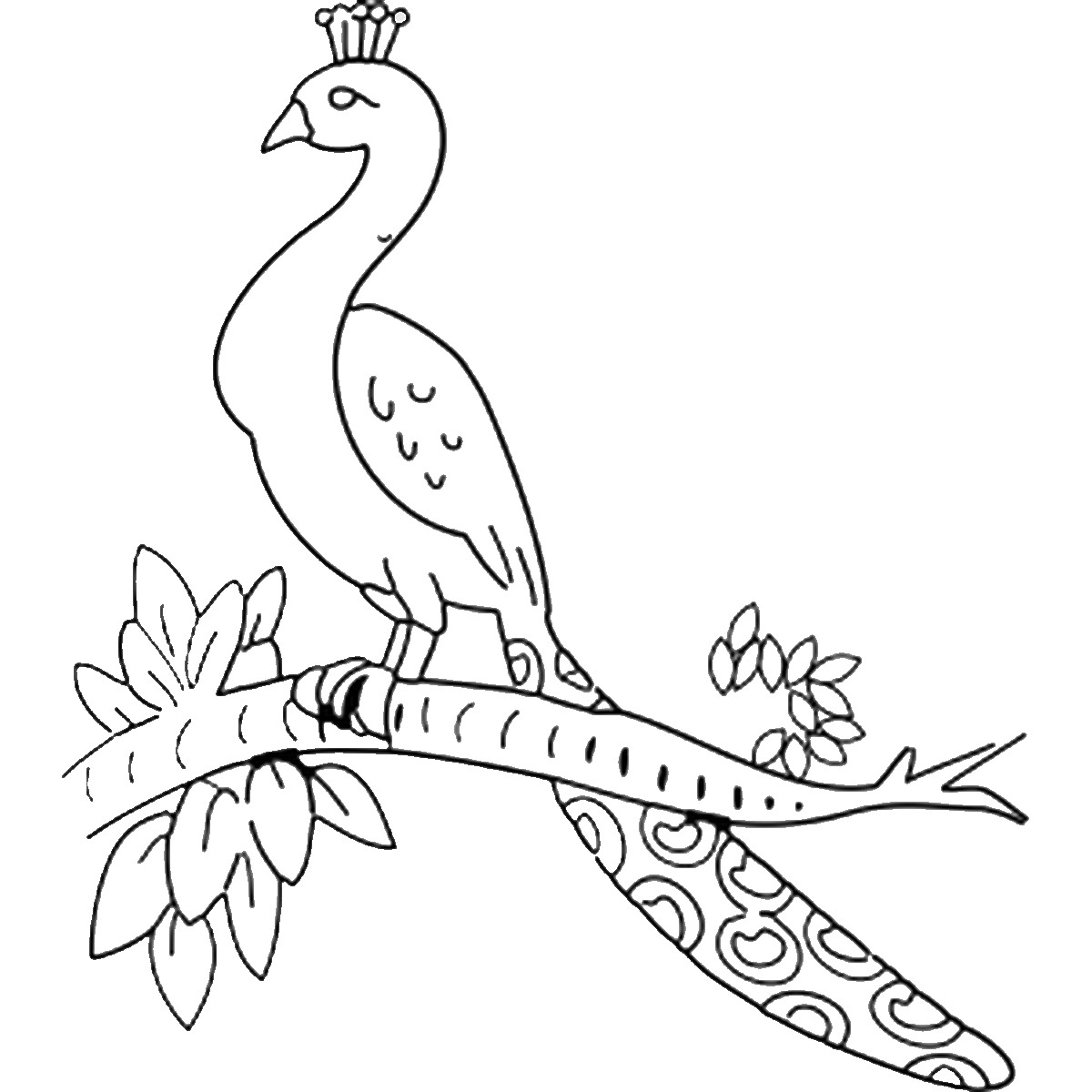 Featured image of post Easy Printable Peacock Coloring Pages Coloring is a very useful hobby for kids