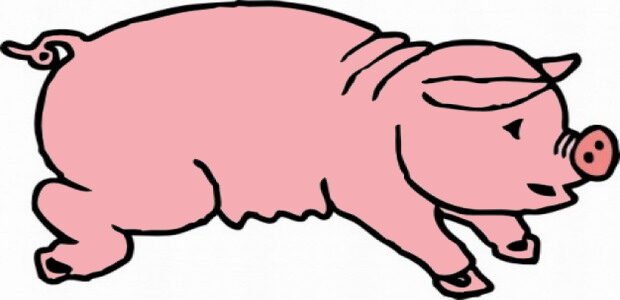 Pig Coloring Pages