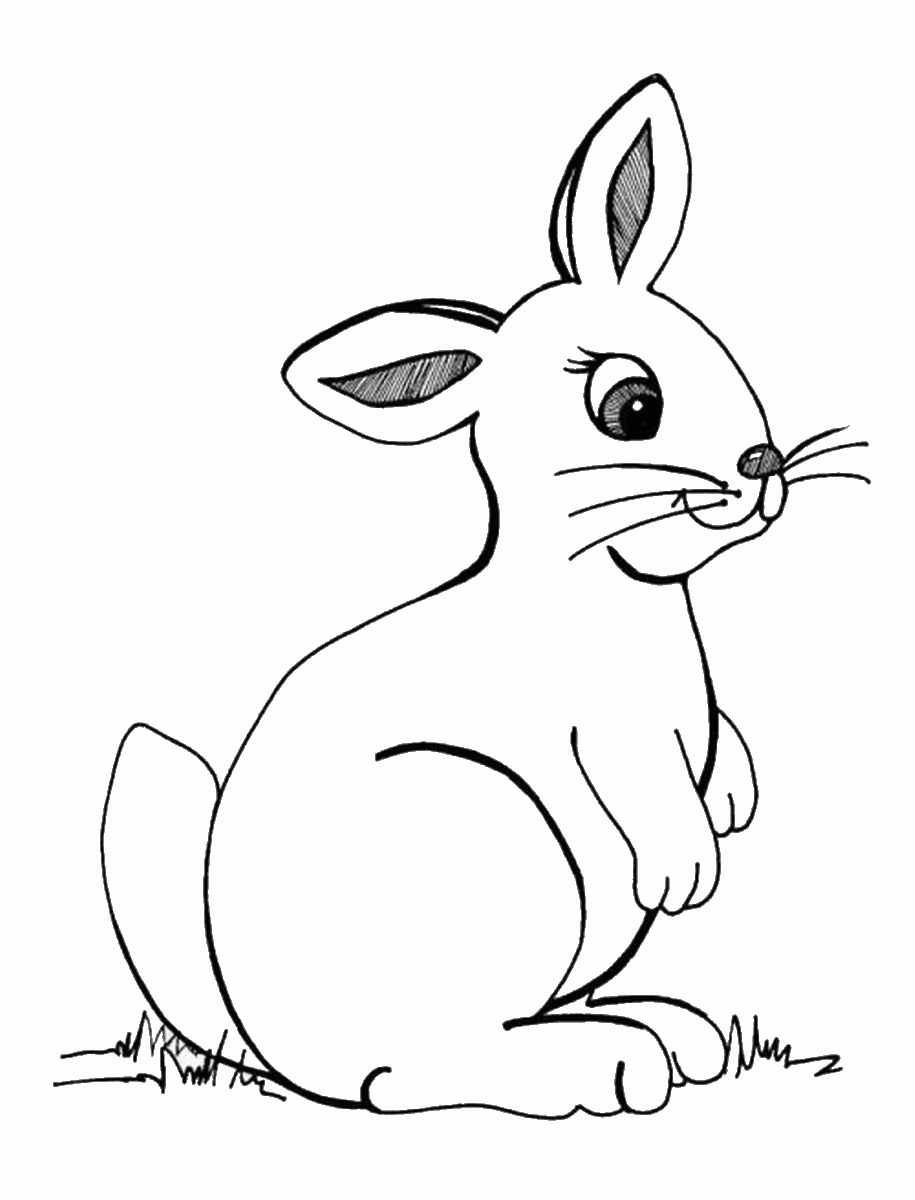 Рисунок кролика с боку