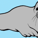 Seal Coloring Pages