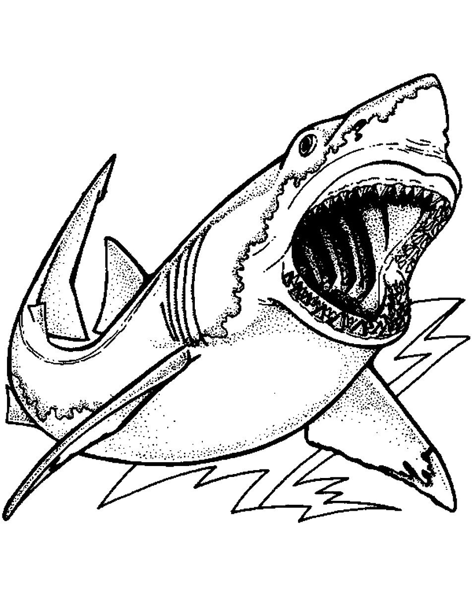 Shark Coloring Pages