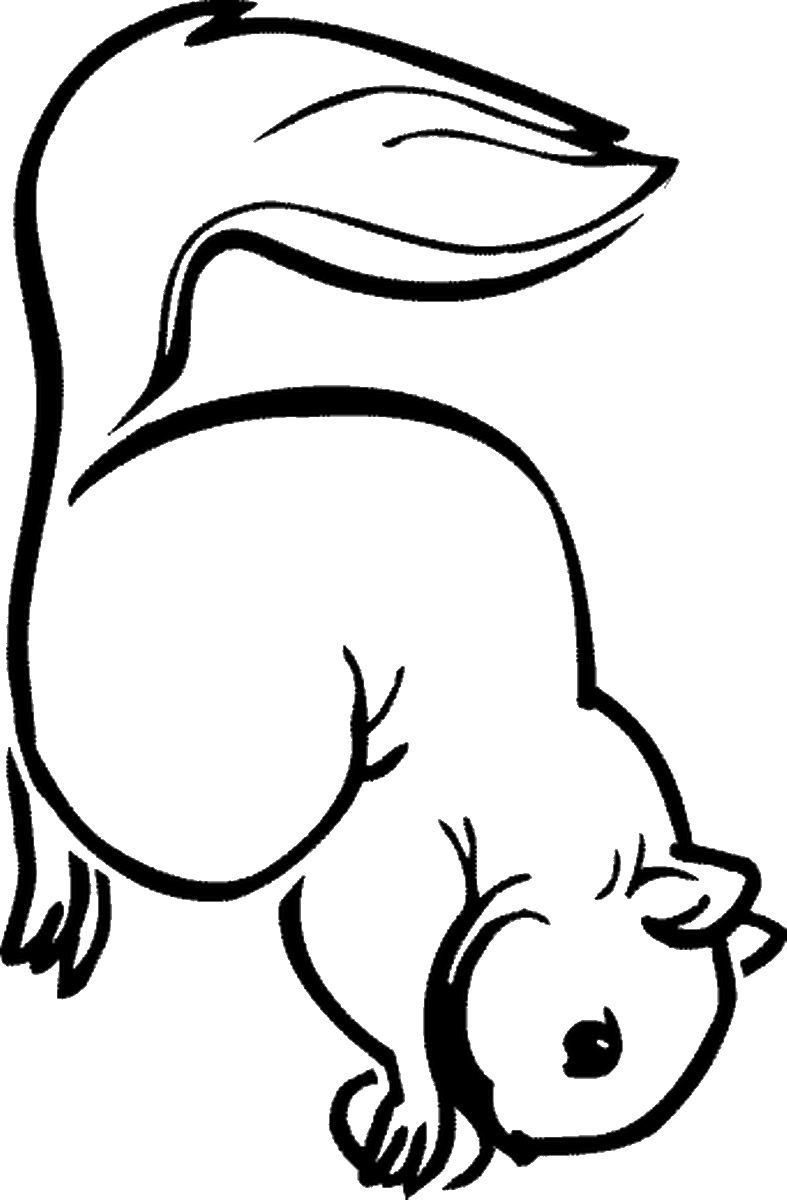 Download Squirrel Coloring Pages