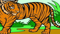 20 tiger pictures to print and color  