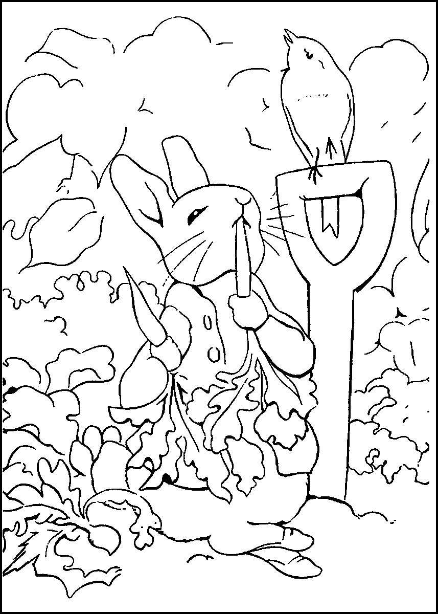 Peter Rabbit Coloring Pages